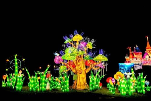 Sắp có Vườn ánh sáng tại Khu du lịch Thung lũng Tình yêu, Đà Lạt