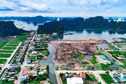 Cục trưởng Cục Di sản Văn hóa nói về quây núi đá Vịnh Hạ Long làm 'hòn non bộ'