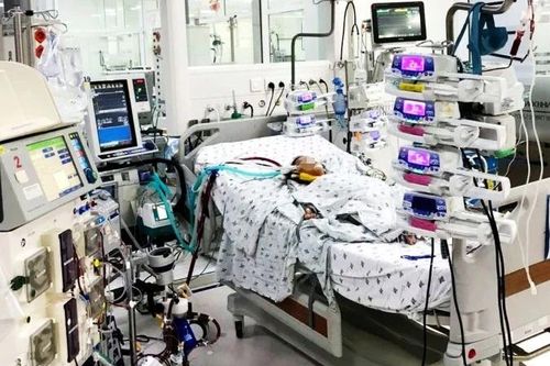 Sử dụng kỹ thuật lọc máu hấp phụ cứu sống hai trẻ em nguy kịch