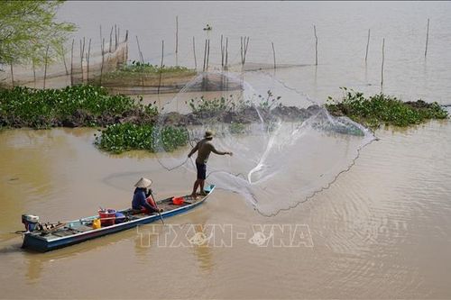 Vào mùa đánh bắt cá ra sông ở Đồng Tháp