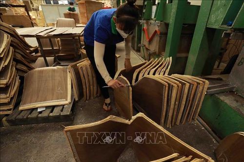 Đơn hàng sẽ đổ về doanh nghiệp gỗ đến quý I/2024