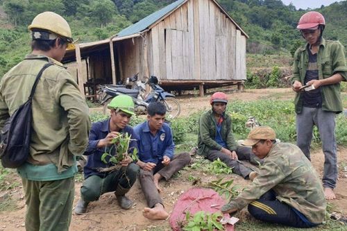 Ngược ngàn mưu sinh