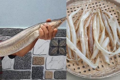 Loài cá Việt Nam giá thịt chưa đến nửa triệu nhưng một bộ phận bên trong lại có giá hơn 9 triệu/kg