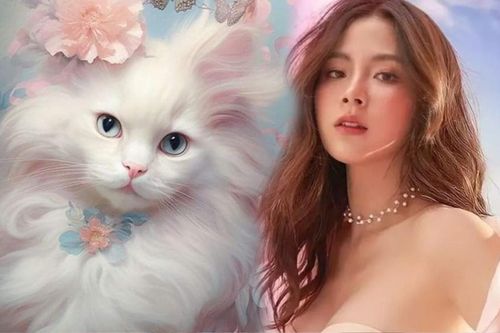Từ nay đến Tết Dương: Thần Tài mở túi phát lương, 3 con giáp thu lộc lên hương, tiền tài rủng rỉnh