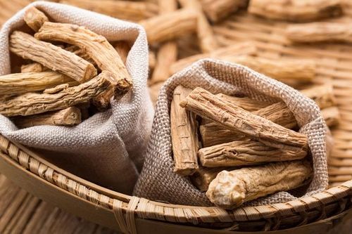 Tác dụng của đảng sâm, loại thảo dược được ví như 'nhân sâm của người nghèo'