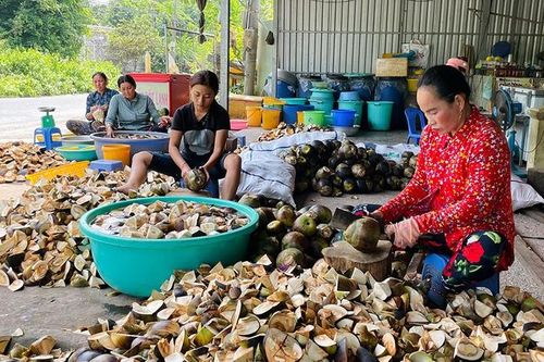 'Tổ phụ nữ mua bán trái thốt nốt' hỗ trợ phụ nữ Khmer phát triển kinh tế