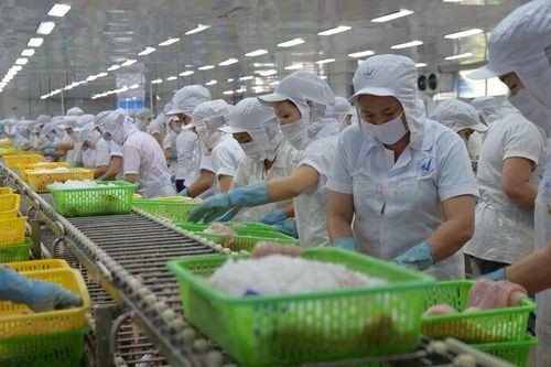 Doanh nghiệp thích ứng sản xuất với biến động thị trường