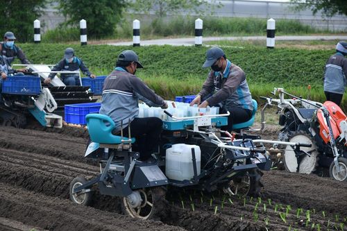 Thái Lan với gói kích thích kinh tế 16,5 tỷ USD