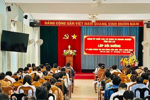 Bồi dưỡng lý luận chính trị cho 89 đảng viên mới