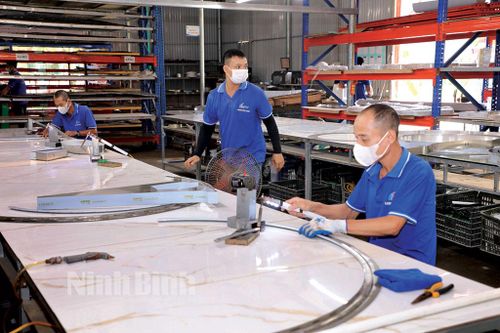 Đồng hành với thanh niên trong nghề nghiệp và việc làm