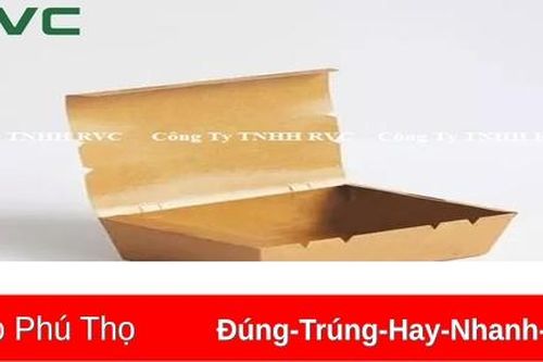 Tại sao nên sử dụng hộp giấy đựng thức ăn?
