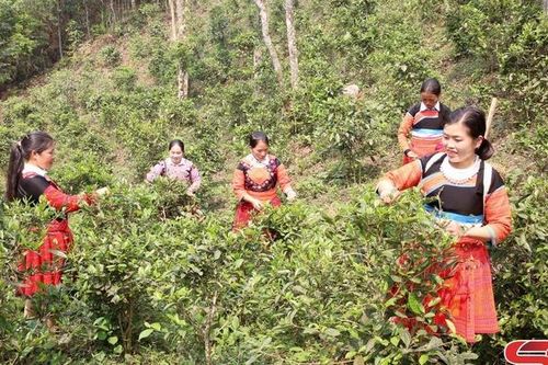Cuộc sống mới trên những bản vùng cao