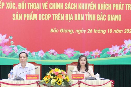 Bắc Giang ban hành nhiều chính sách hỗ trợ phát triển sản phẩm OCOP