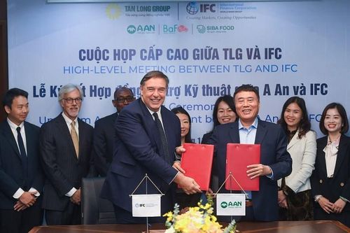 IFC hỗ trợ thúc đẩy sản xuất lúa gạo bền vững tại Việt Nam
