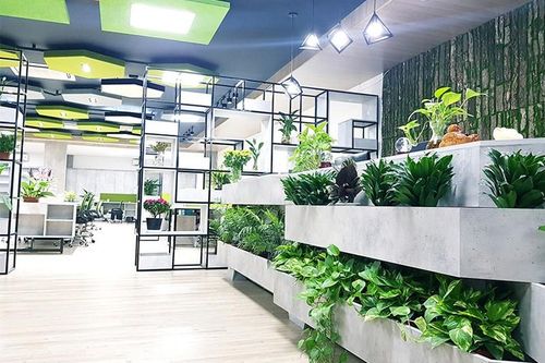 Giá thuê văn phòng xanh ngày càng tăng cao nhưng vẫn hút khách