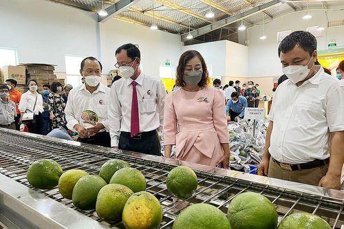 Gạt bỏ tâm lý e ngại để xuất khẩu sang Mỹ