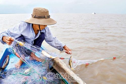 Vươn lên nhờ nghị lực phi thường