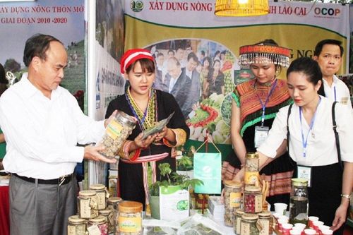 Tuyên Quang đồng hành cùng hợp tác xã