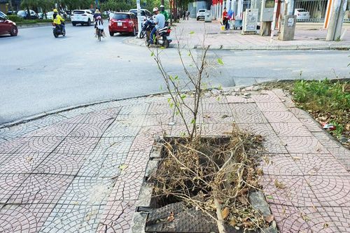 Hố ga bị mất trộm nắp ở Hà Nội: Cần giải pháp ngăn chặn