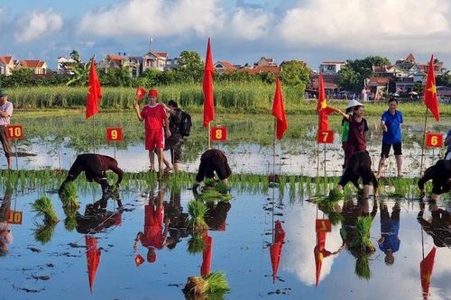 Quảng Ninh có thêm 5 Di sản văn hóa phi vật thể quốc gia