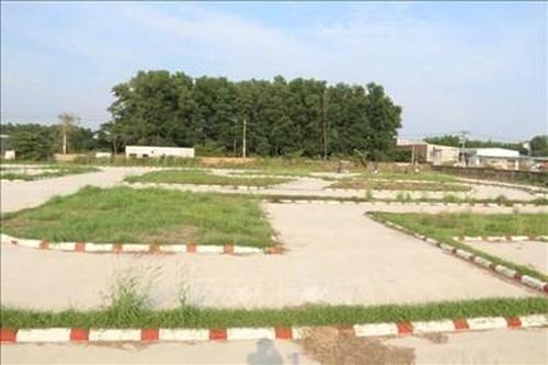 Ông Võ Thanh Tùng giữ chức vụ Giám đốc Trung tâm Dạy nghề lái xe Sài Gòn, Đồng Nai