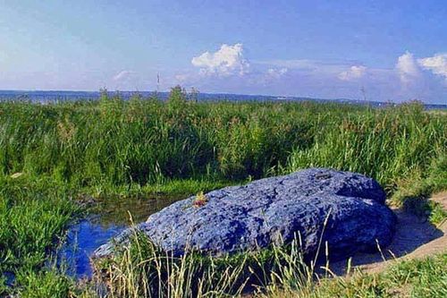 Quái dị tảng đá xanh tự di chuyển, chuyên gia điên đầu giải mã