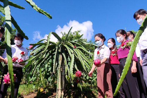 Thuận Châu tập trung nguồn lực giúp người dân thoát nghèo