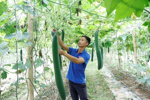 Mường Chà: Gia tăng năng lực sản xuất cho đồng bào dân tộc thiểu số