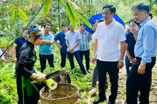 Khởi sắc vùng đồng bào dân tộc thiểu số Trấn Yên
