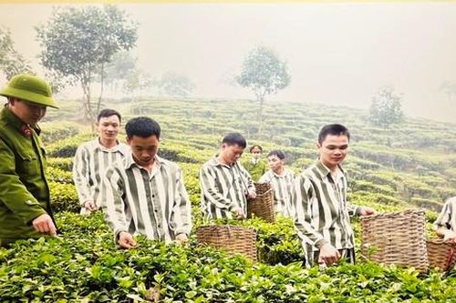 Những khó khăn, thách thức và giải pháp trong công tác trại giam tại Việt Nam