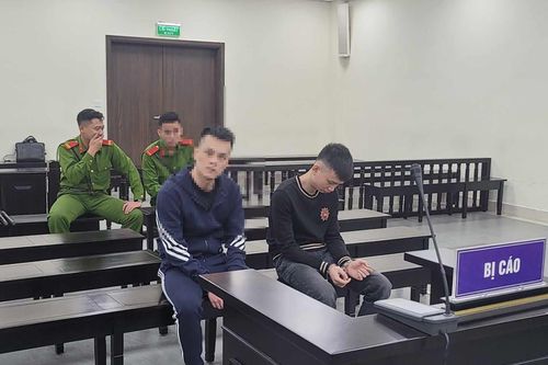 Vào tù vì sử dụng ma túy ở chung cư cao cấp