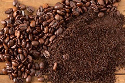 Những loại hạt cà phê đặc trưng cho việc pha bằng máy mà bạn nên biết