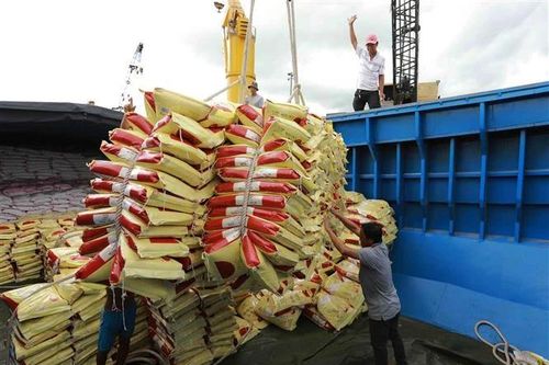 Indonesia có kế hoạch nhập khẩu 5 triệu tấn gạo từ nay đến năm 2024
