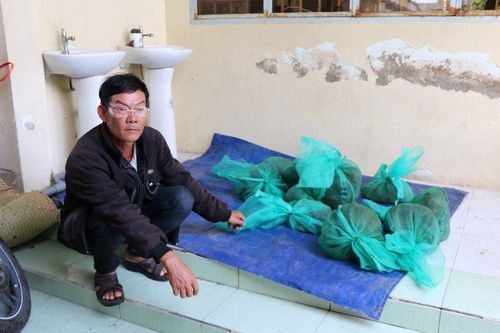Kiên Giang: Bắt quả tang đối tượng vận chuyển động vật quý hiếm