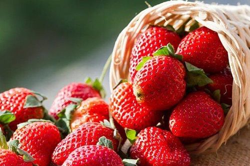 Ăn loại quả phố biến này có thể giúp giảm nguy cơ đãng trí tuổi già