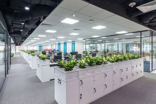 Việt Nam có nhiều lợi thế phát triển văn phòng xanh