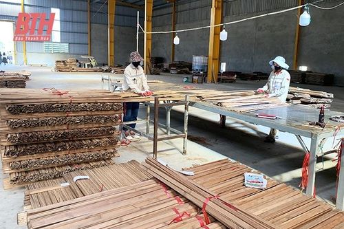 Lang Chánh phát triển kinh tế lâm nghiệp bền vững gắn với chế biến và xây dựng thương hiệu sản phẩm