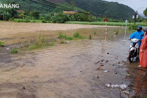 Lũ trên sông Túy Loan sắp tràn bờ, thủy điện điều tiết lũ sông Vu Gia