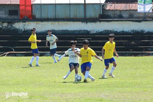 Ngày 16-11 sẽ khởi tranh Giải bóng đá các xã, phường, thị trấn tỉnh Đồng Nai