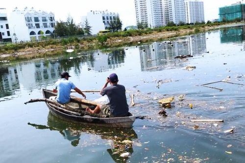 Những dòng sông bị 'bức tử'