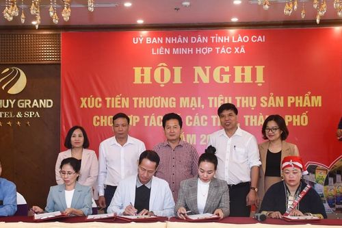 Xúc tiến thương mại, tiêu thụ sản phẩm cho hợp tác xã của các tỉnh, thành phố