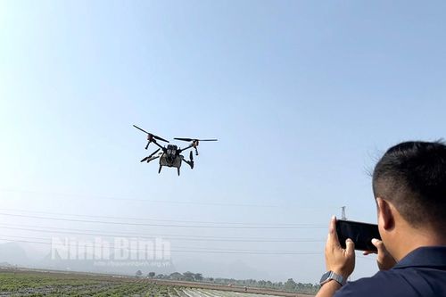 Ninh Bình ứng dụng thiết bị bay không người lái trong sản xuất nông nghiệp