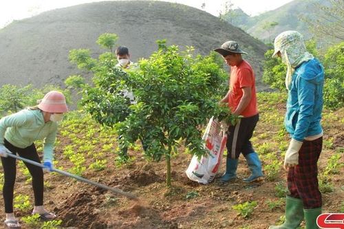 Đẩy nhanh tiến độ xây dựng nông thôn mới