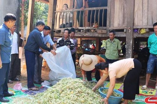 Phát huy vai trò của trung tâm học tập cộng đồng
