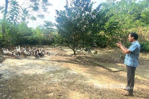 Chuyện cán bộ quảng bá nông sản cho Dân