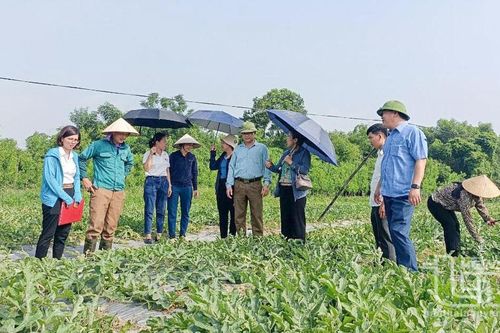 Chuẩn hóa trình độ cán bộ các cấp