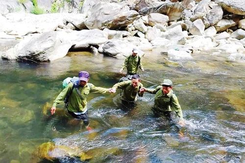 Bảo vệ rừng mùa mưa lũ