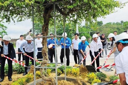 Giấc mơ đường tàu, đường hoa