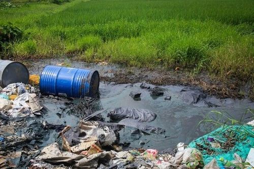 Hải Dương phạt 3 doanh nghiệp hơn 1 tỷ đồng vì vi phạm môi trường