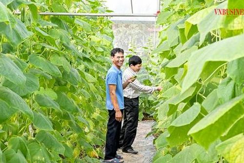 HTX cạnh tranh sòng phẳng trên thị trường bằng sản xuất hiện đại